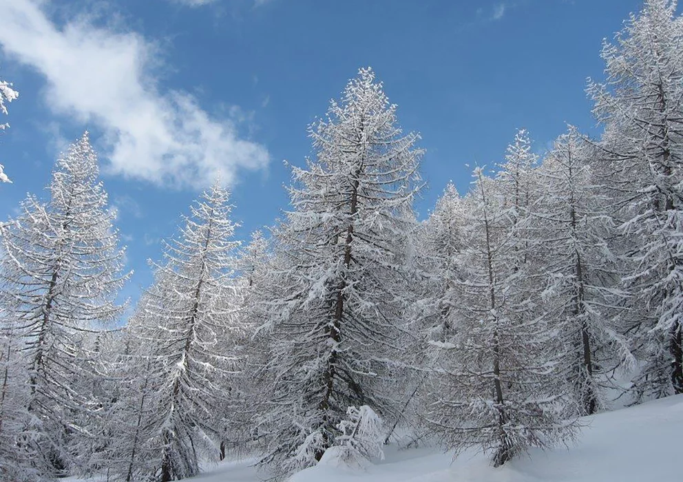 Spaß im Winter