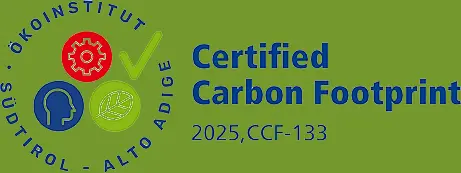 Ökoinstitut Carbon Footprint